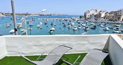 A Cosy Nest Overlooking The Sea