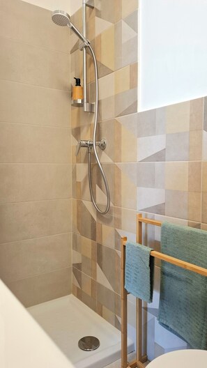 Shower, hair dryer, bidet, towels