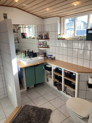 Shower, hair dryer