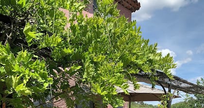 Charmante maison de campagne, pleine nature et calme absolu!