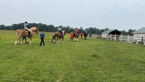 Een groep mensen die paardrijdt in een grasveld, met een witte omheining en een gebouw op de achtergrond.
