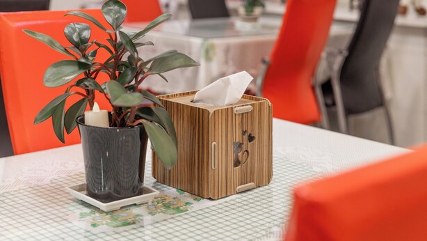 A table with a potted plant, a candle, and a tissue box. - Sun Moon Lake Jinlongshan BnB (Yuchi)