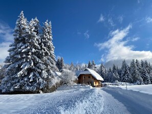 Exterior - Spacious Apartment “Am Hirschenmoor” in Nature with Private Terrace and Garden (Breitnau)