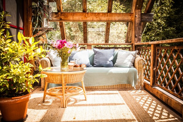 Terraza o patio