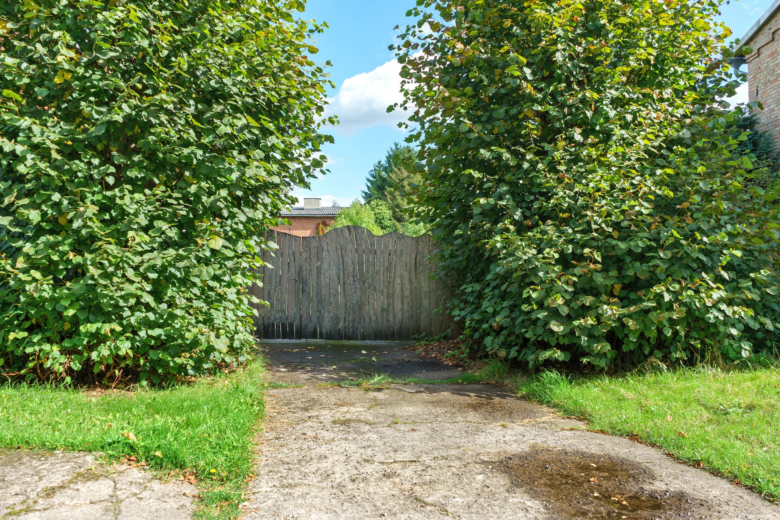 Ein schmaler Betonweg führt zu einem Holzzaun.