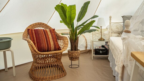 Une pièce comprenant un fauteuil en osier, une plante en pot, un lit avec une literie blanche, une table de chevet et une lampe.