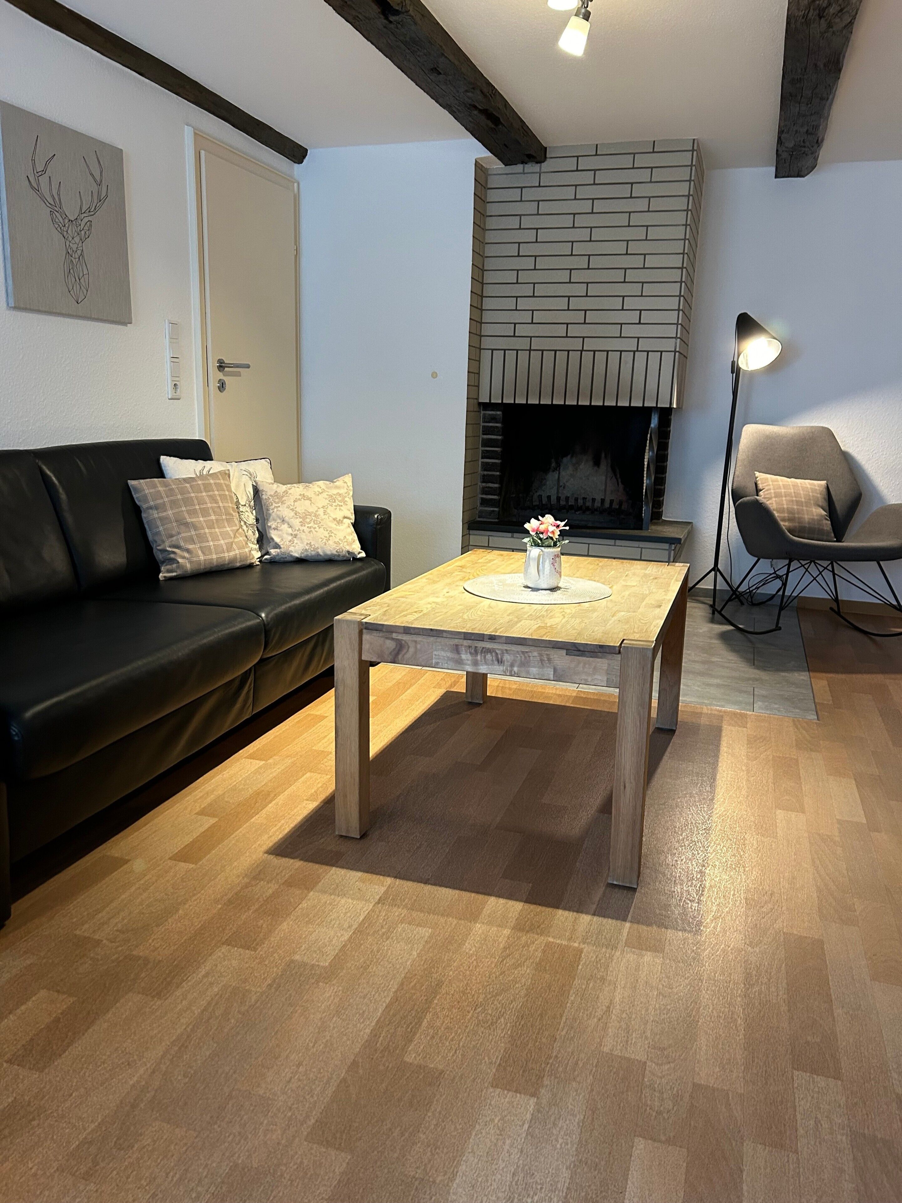 Fernseher, Kamin, Tischtennisplatte, Stereoanlage