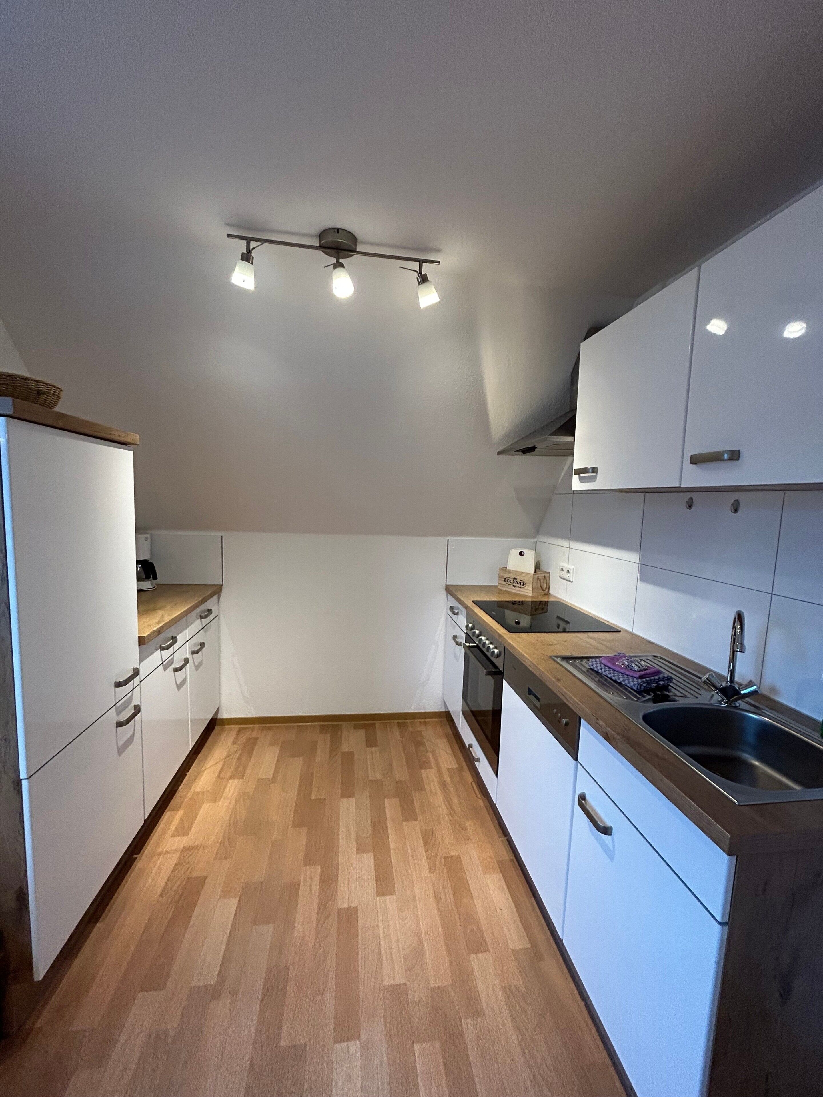 Kühlschrank, Ofen, Herdplatte, Geschirrspüler