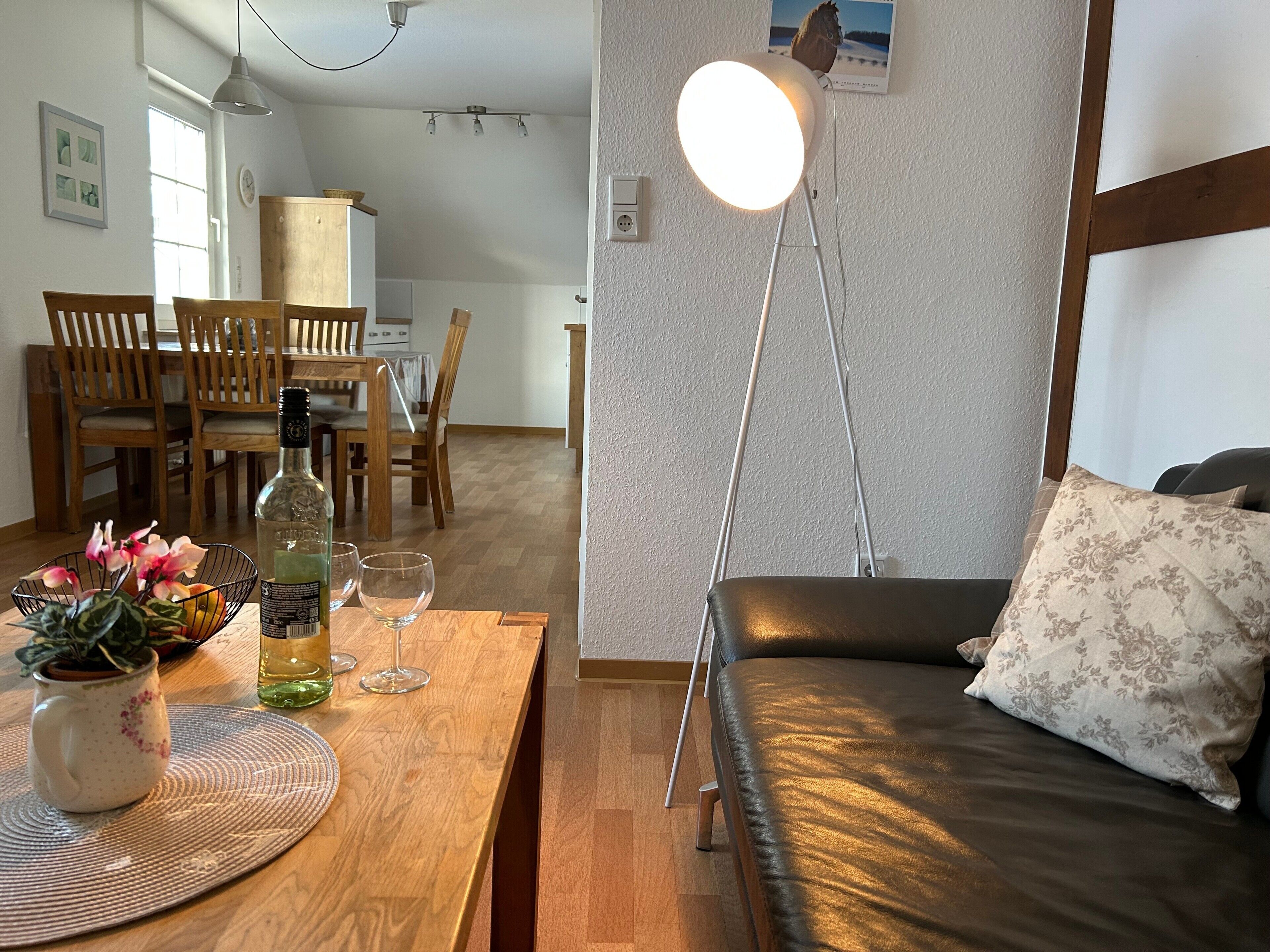TV, tavolo da ping pong, impianto stereo