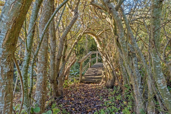 Un pont en bois, situé dans une zone boisée, avec des arbres de chaque côté.