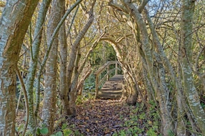 A wooden bridge in a forested area with trees on either side.