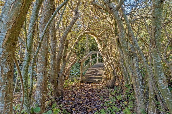 Property grounds - Italien vinyard feeling close to Karrebæksminde (Karrebæksminde)