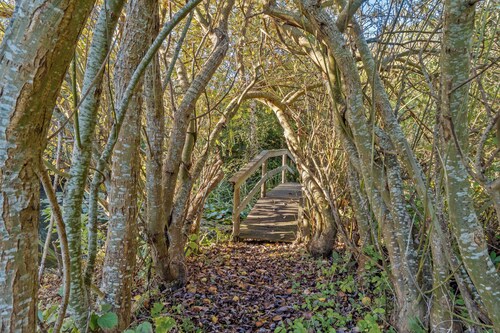 Italien vinyard feeling close to Karrebæksminde