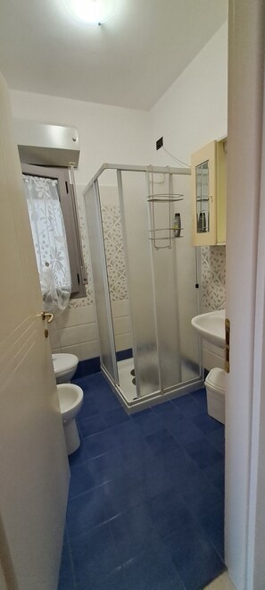 Shower, bidet, soap, toilet paper