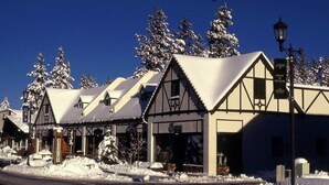 Een rij traditionele vakwerkhuizen met sneeuwbedekte daken en een helderblauwe lucht.