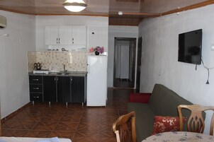 Standard Apartment | Living area