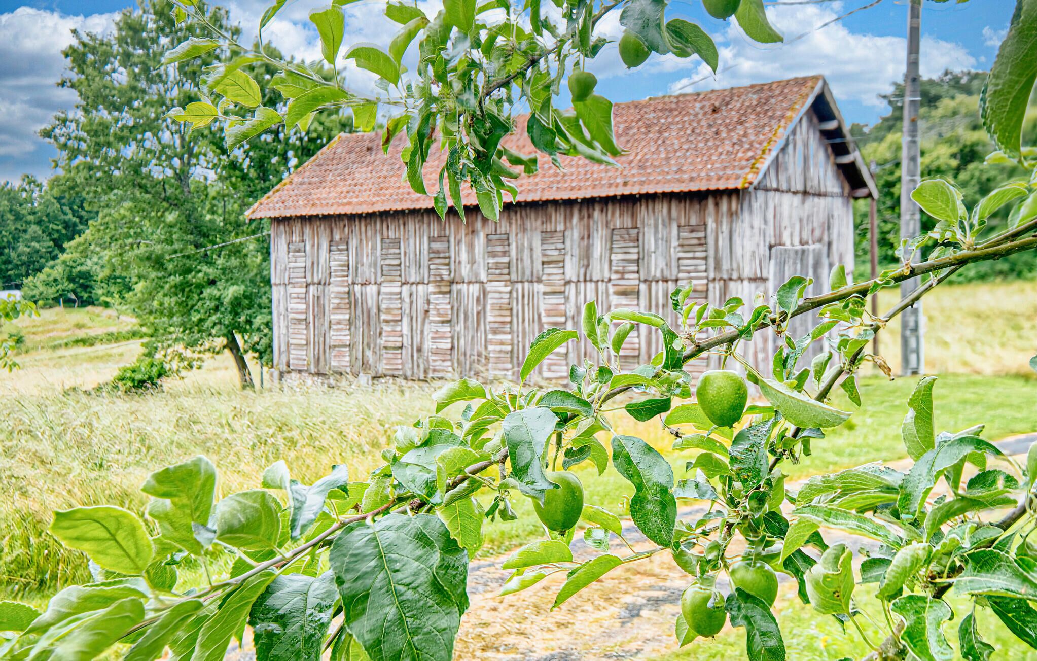 Un bâtiment rustique en bois, doté d’un toit en tuiles, entouré de verdure et surplombé d’un ciel dégagé.