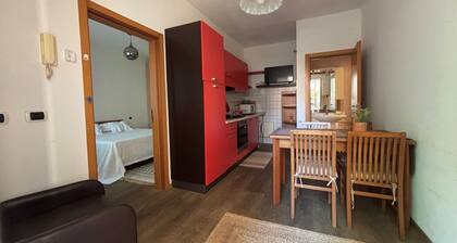 CN021 - Cesenatico, two-room apartment with courtyard in central position