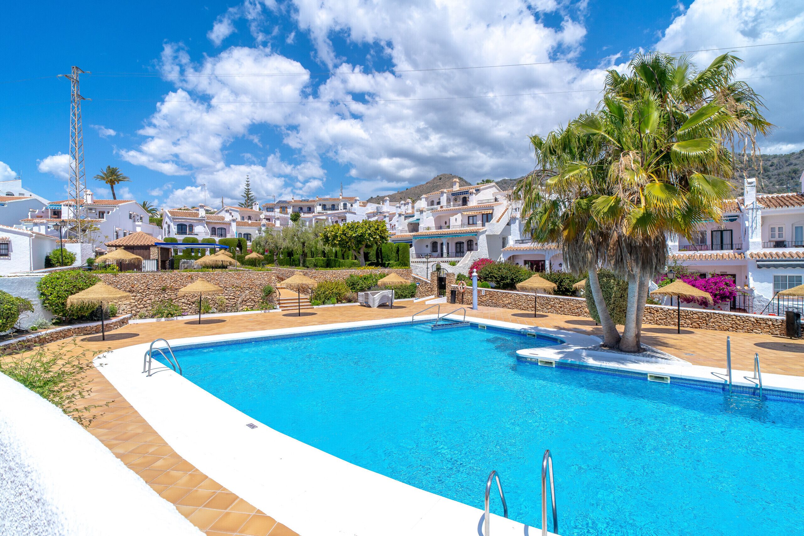 A swimming pool with a palm tree, surrounded by white buildings with red-tiled roofs.