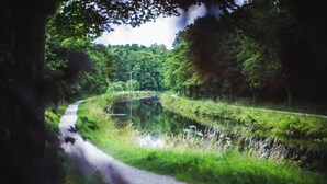 Een smal, kronkelend pad langs een rustig water, omringd door weelderige begroeiing en bomen.