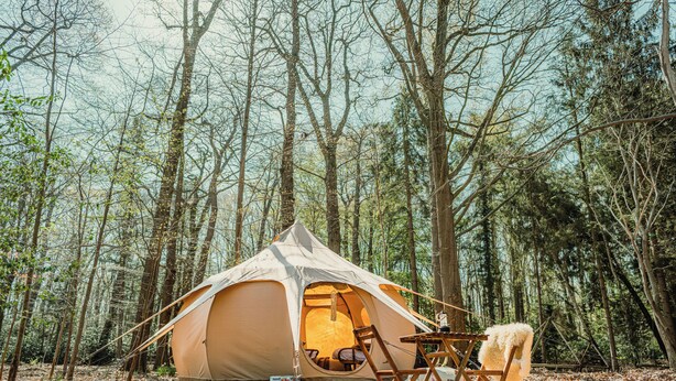 Una carpa montada en un bosque, con una mesa y sillas cerca.