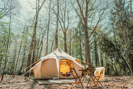 Chambre. Boomkamp