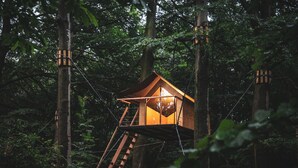 Una casa en el árbol con fachada de madera, ventana de vidrio y escalera de madera.