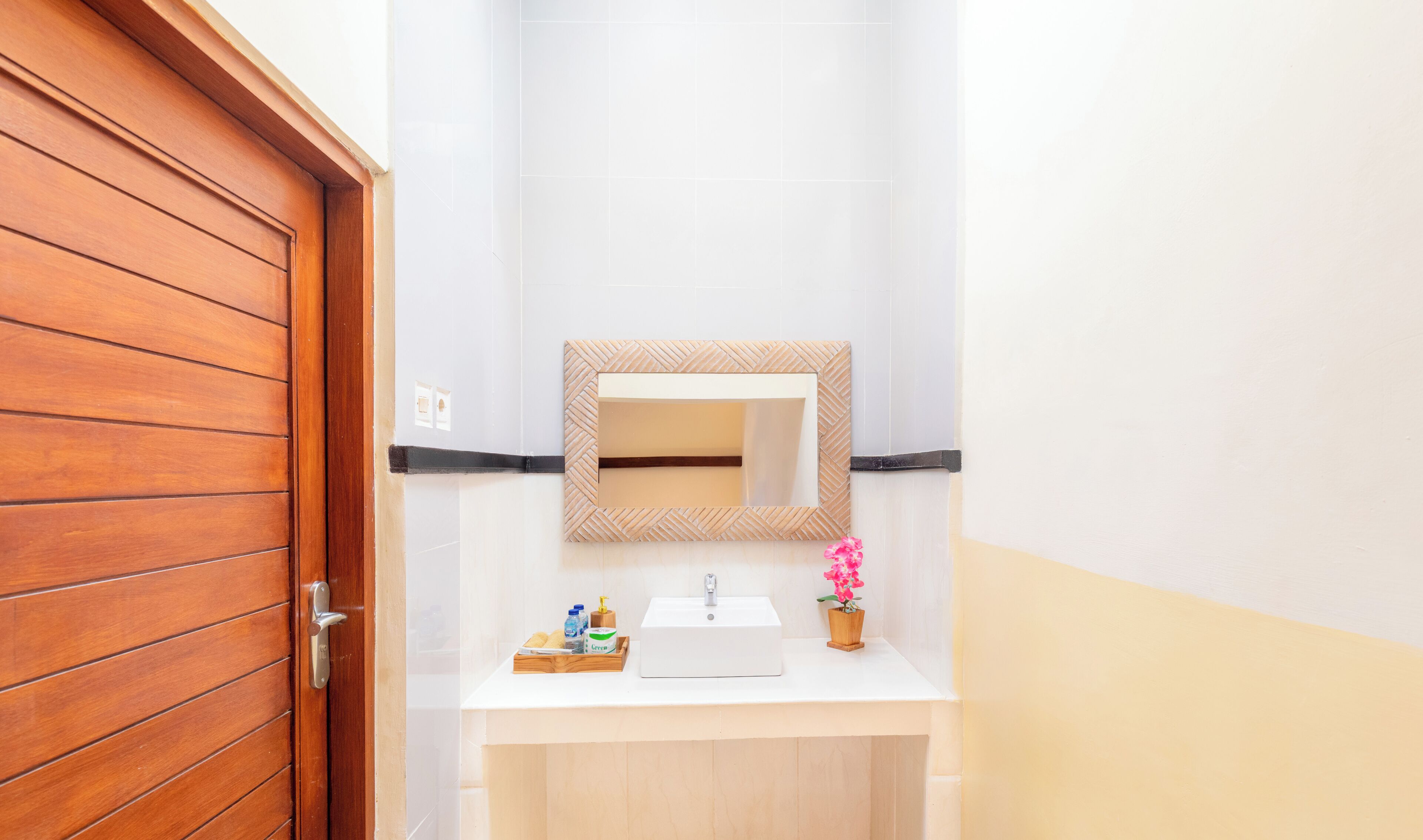 A bathroom with a wooden door, a white sink, a mirror, and a small potted plant.