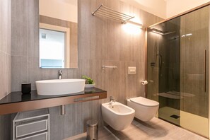 Shower, hair dryer, bidet, towels