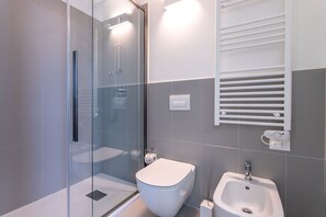 Shower, hair dryer, bidet, towels