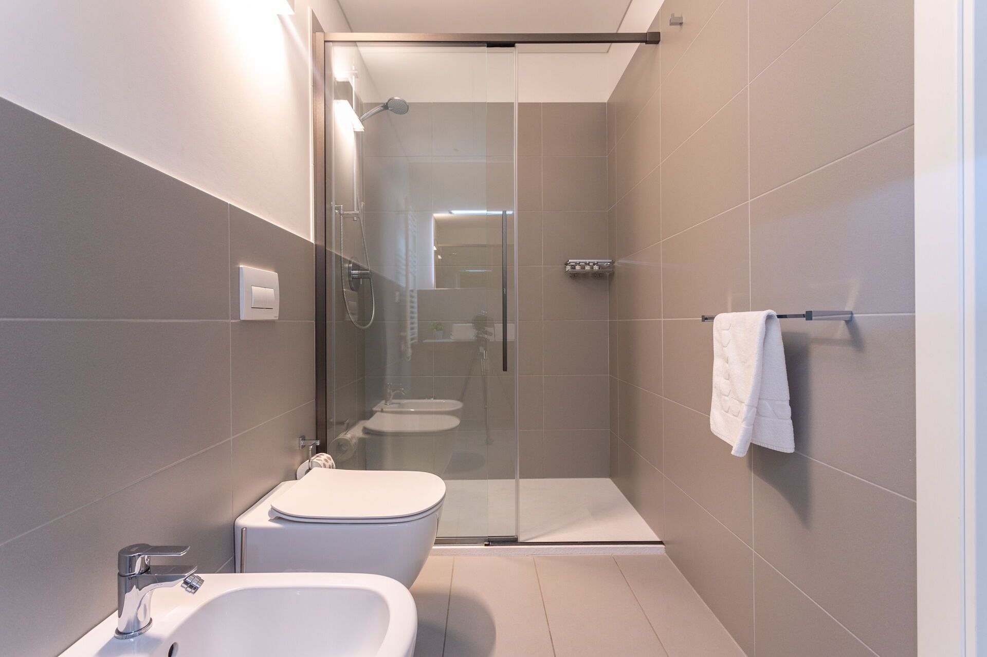 Shower, hair dryer, bidet, towels