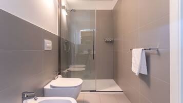 Shower, hair dryer, bidet, towels