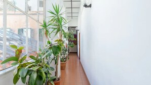 Un pasillo estrecho con macetas a un lado y una pared blanca al otro.