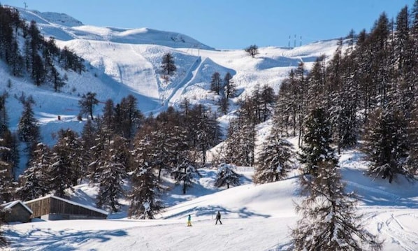 Deportes de invierno y ski