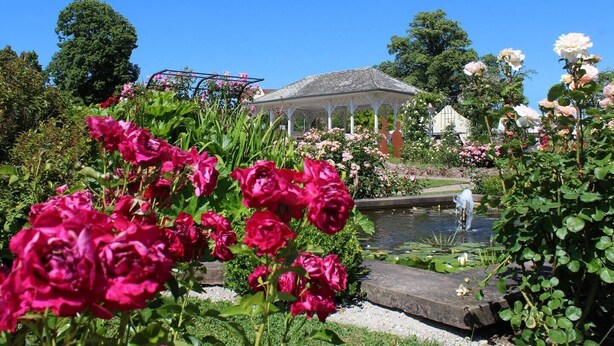 A garden with a gazebo, a pond, and blooming roses. - The Zorn cocoon (Monswiller)