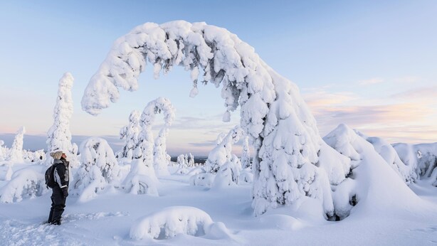 Eine Person steht in einer verschneiten Winterlandschaft mit schneebedeckten Bäumen und blauem Himmel.