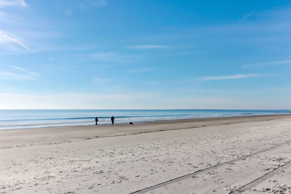 Plage à proximité