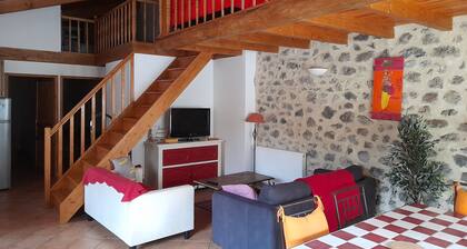 Diois house with terrace, large room with heated SPA, air conditioning