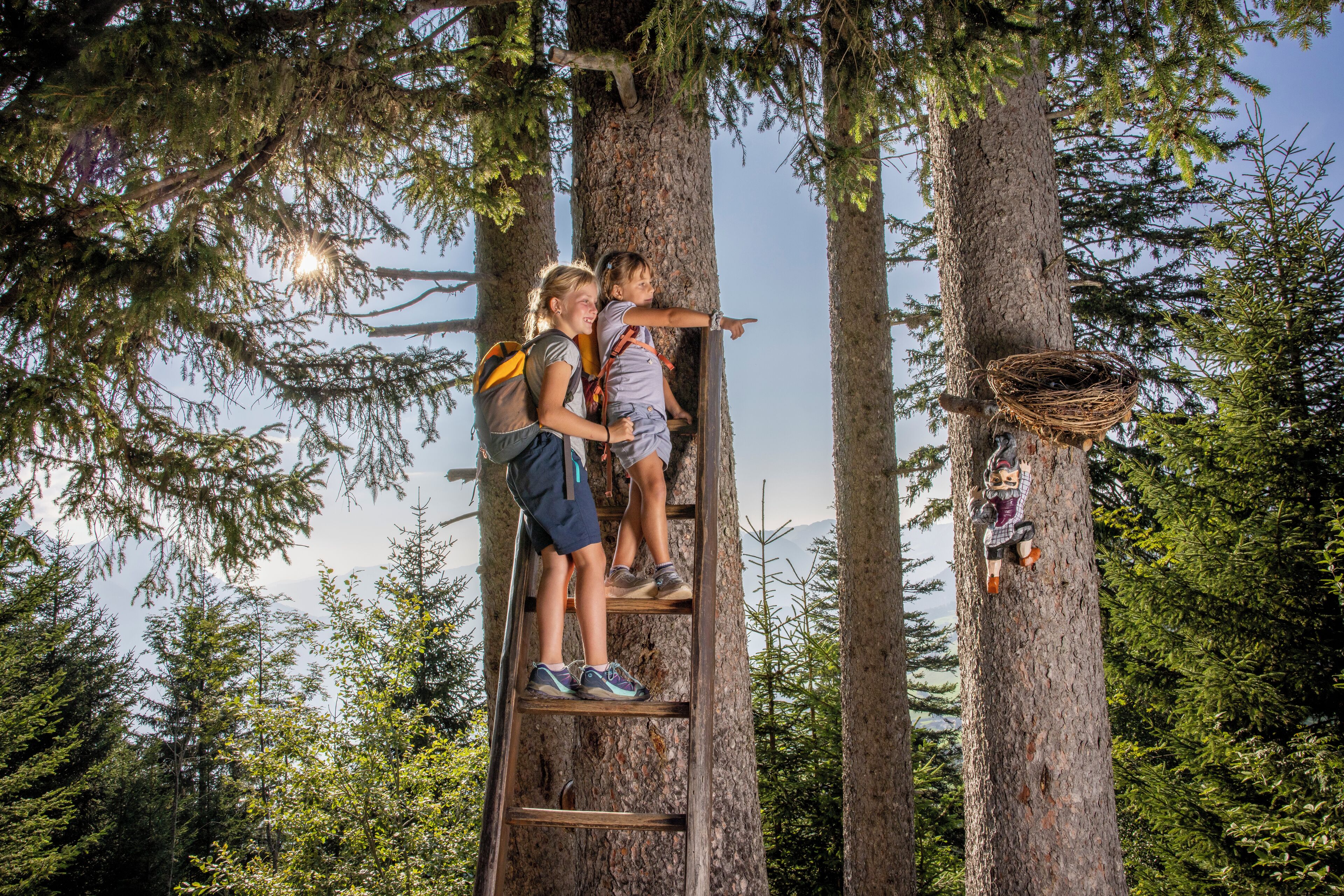 Une échelle en bois menant à une plateforme située entre de grands arbres.