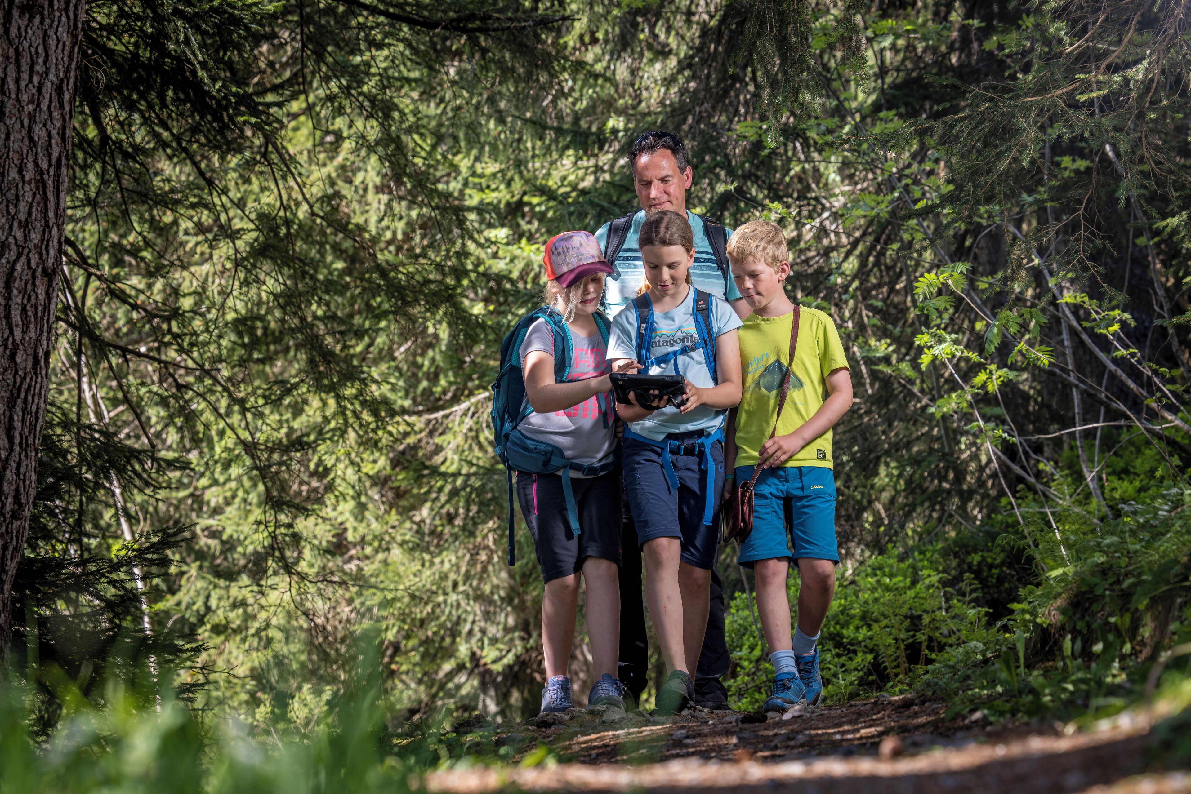 A group of people standing on a forest trail.