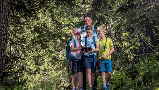 A group of people standing on a forest trail. - Hotel Panorama (Hasliberg)