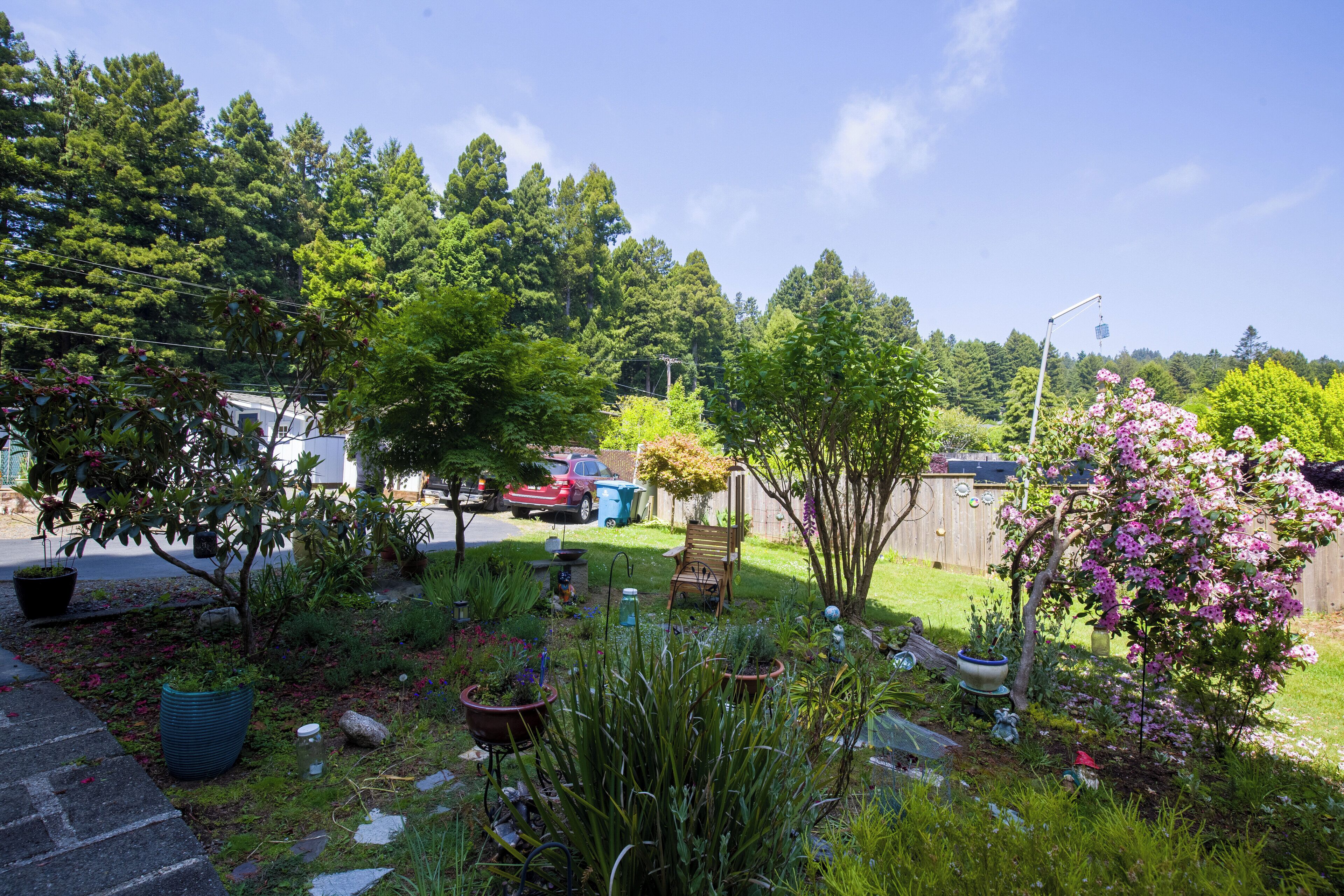 A garden with various plants and a wooden bench.