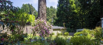 Cottagecore charm beside the redwoods—steps to trails, minutes to beaches and downtown Arcata.