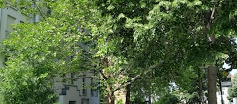Apartment Denis
