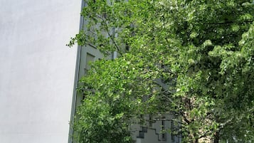 AuĂenbereich