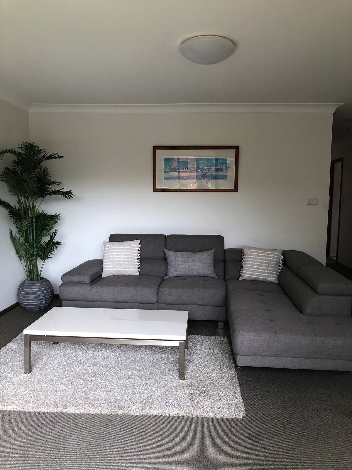 A living room with a grey sectional sofa, a white coffee table, a large potted plant, and a framed picture on the wall.