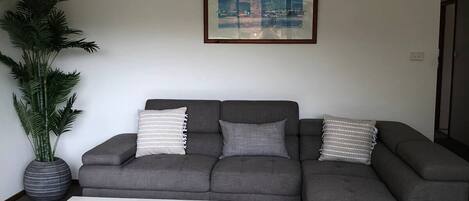 A living room with a grey sectional sofa, a white coffee table, a large potted plant, and a framed picture on the wall.