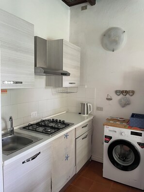 Kühlschrank, Mikrowelle, Herdplatte, Kochgeschirr/Geschirr/Besteck