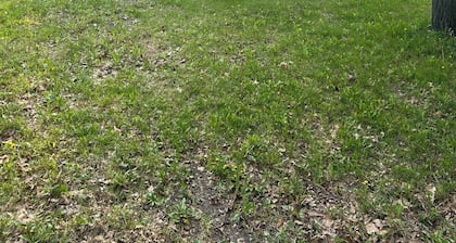 Fishing 2 bedroom cabin on Rainy Lake