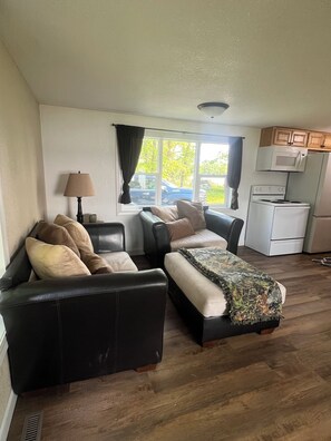 Living area - Fishing 2 bedroom cabin on Rainy Lake (International Falls)